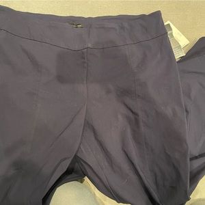 Zac and Rachel 20W pants new with tags